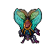 Lacewing Moth