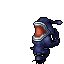 Midnight Panther