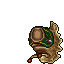 Tiger Slug